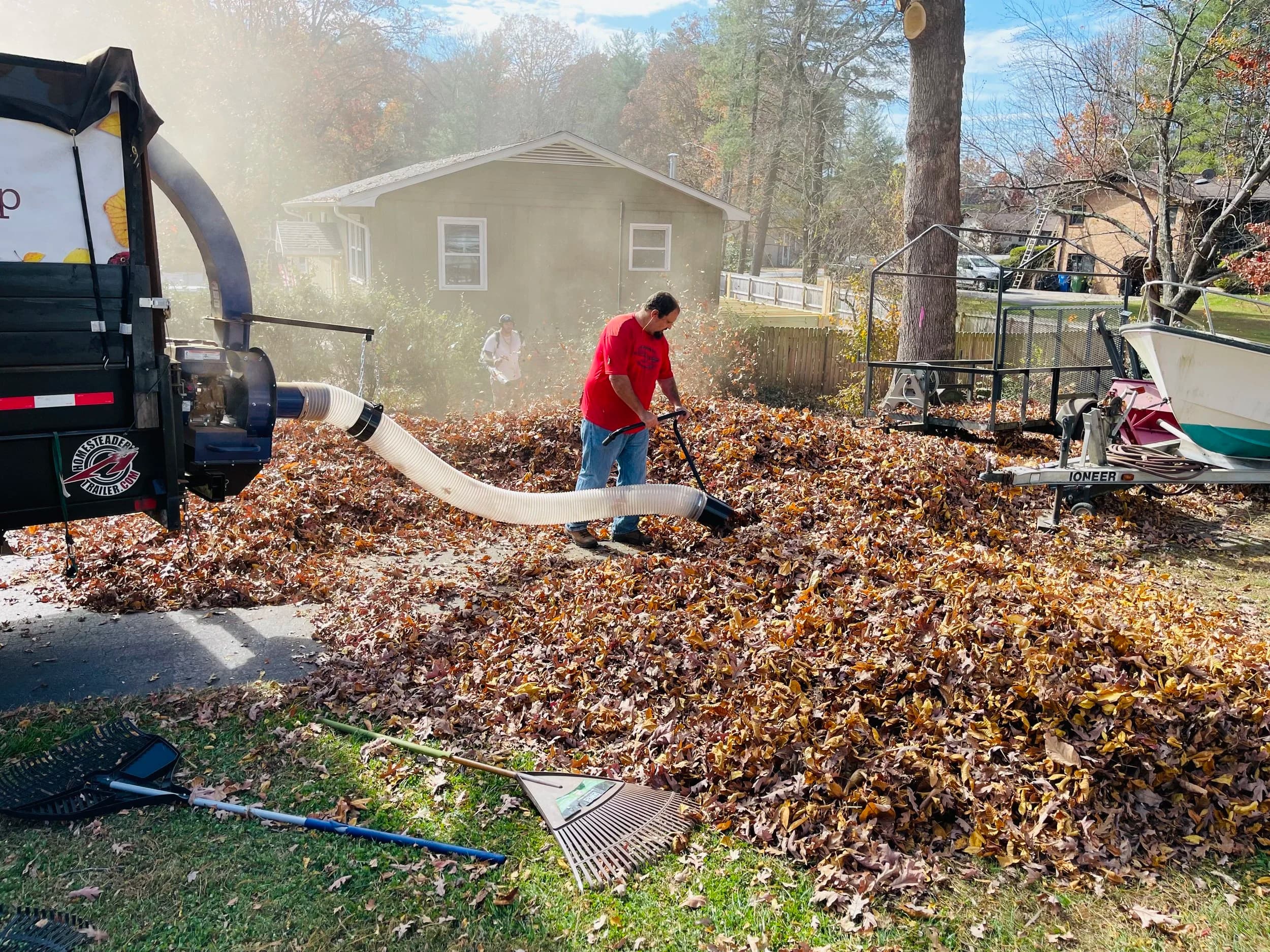 Leaf Removal in Lebanon