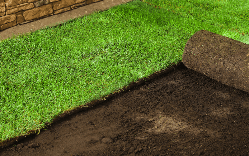 Sod Installation Services in Lebanon, TN