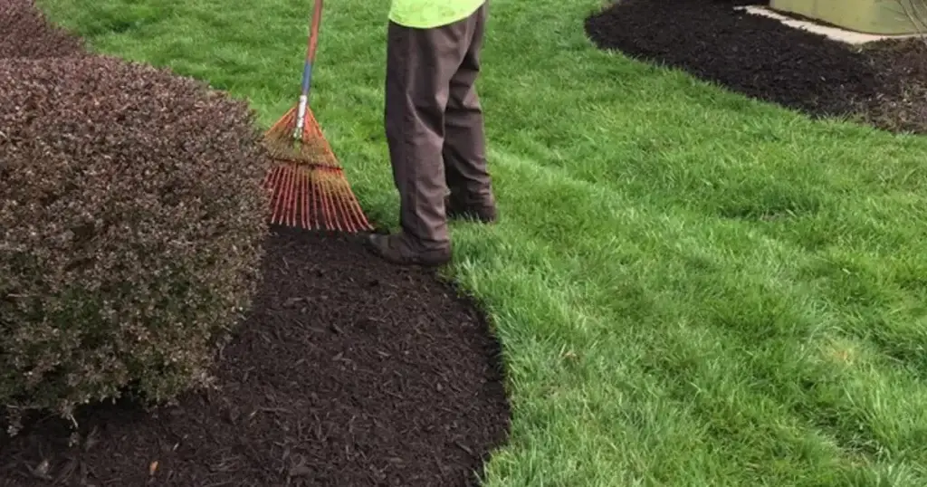 Mulch Installation project 7